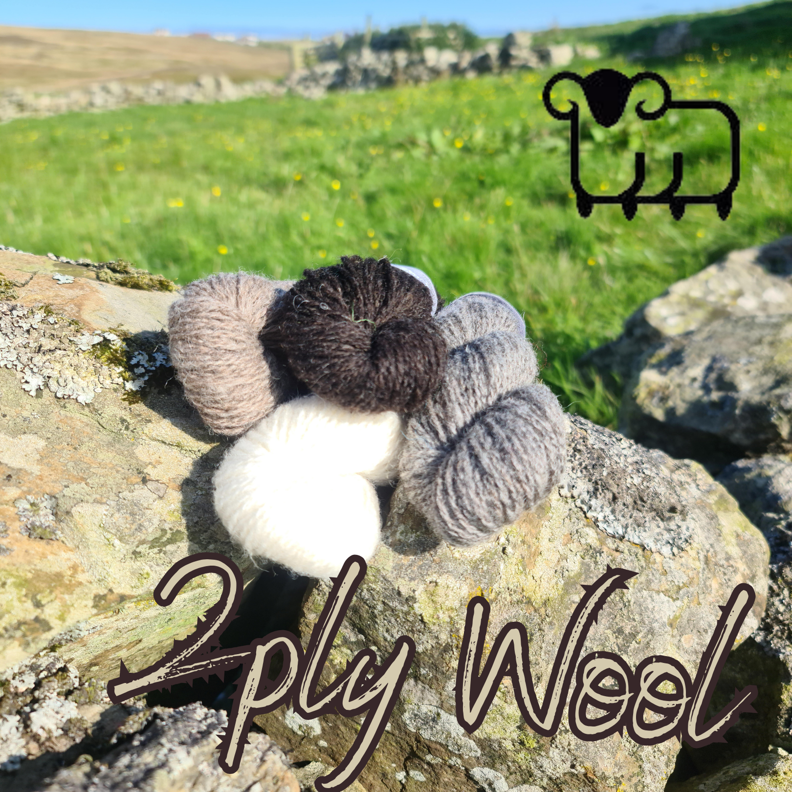 2 ply Shetland Wool 25g Skein - Natural Collection White, Fawn, Grey, Black