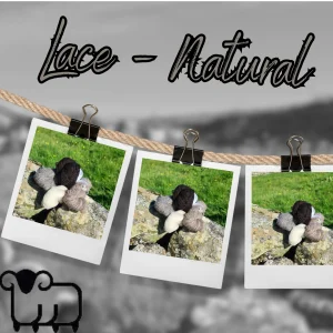 Lace Weight Shetland Yarn 25g Skein - Natural white, fawn, grey & black