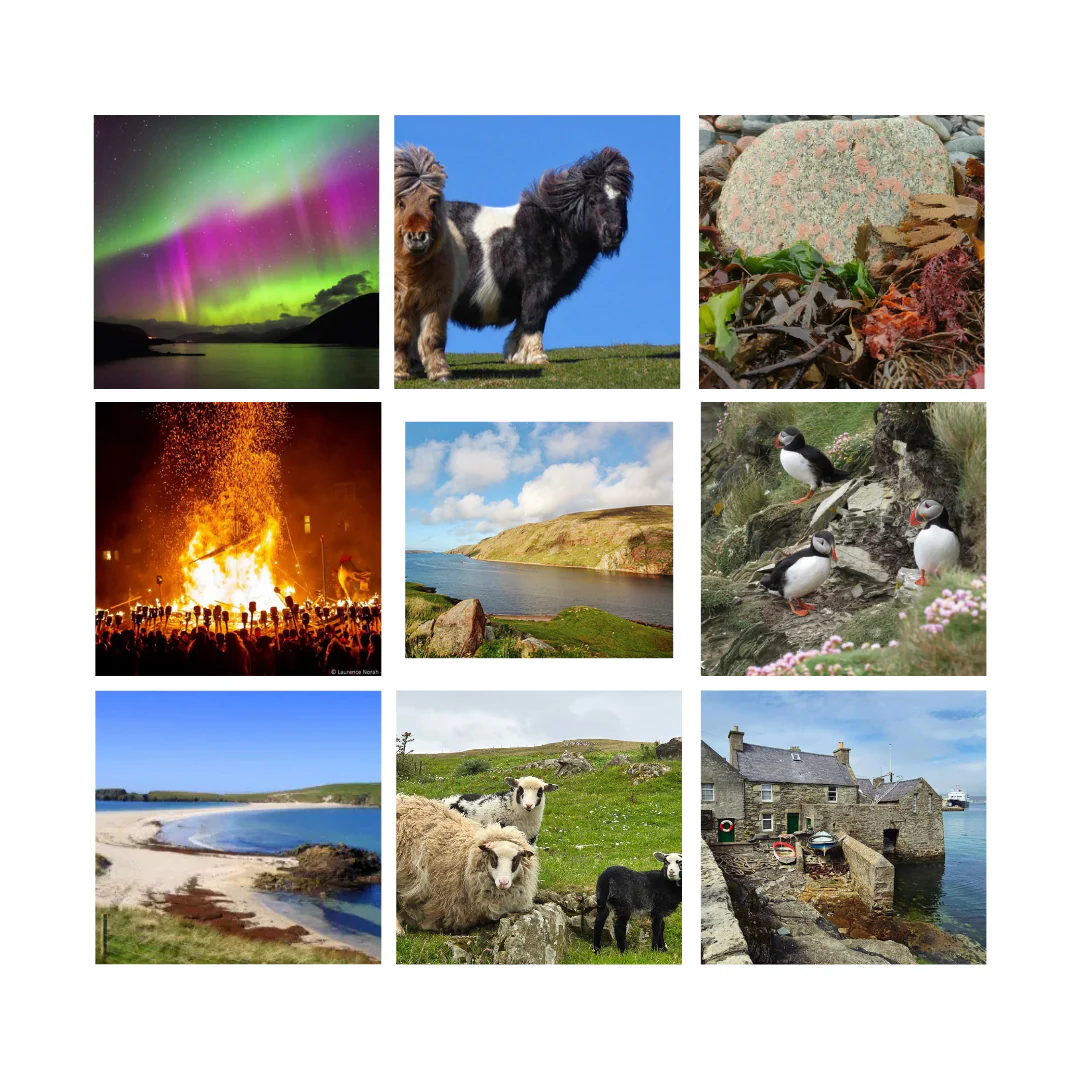 Advent wool box Calendar 2025 Shetlands Iconic images